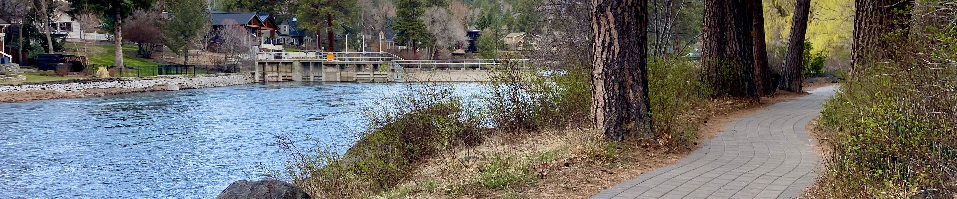 Deschutes River Trail hike in Bend - Deschutes River Trail Xl 