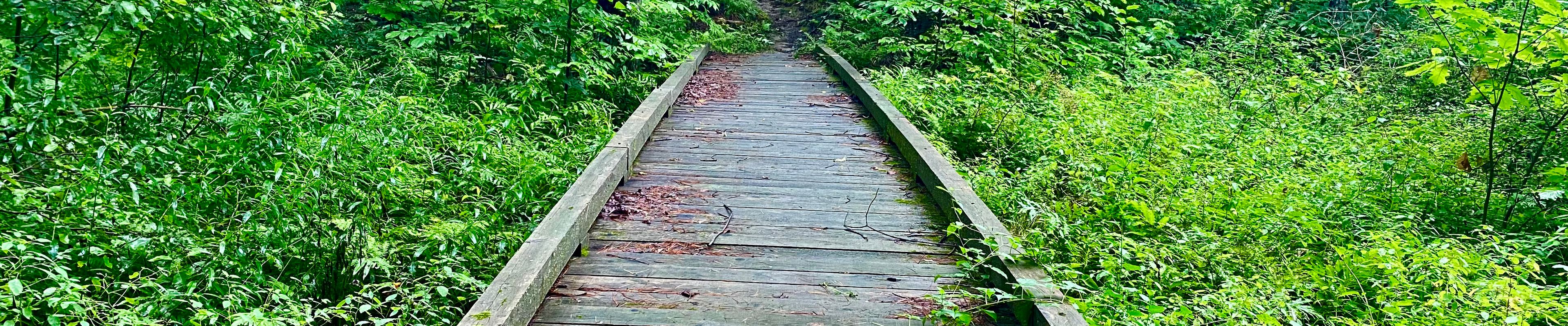 Wolcott Family Natural Area