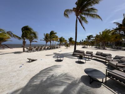 Beachfront Loungers