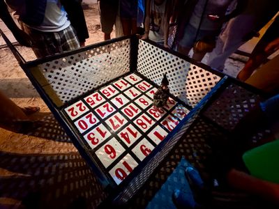Chicken Drop & Hermit Crab Races