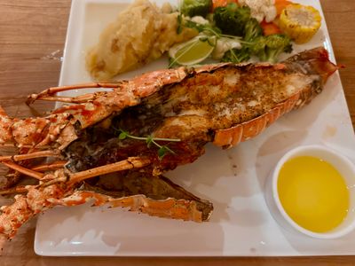 Lobster & Conch