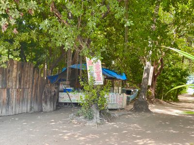 Taco Stands & Street Food