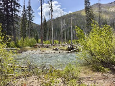 Spruce Grove Campground