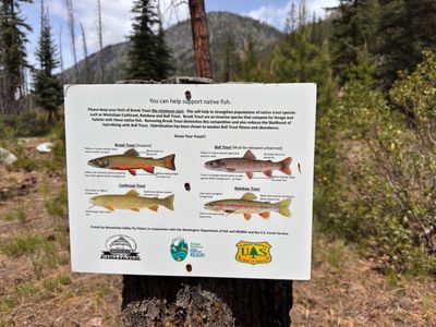 Fishing Regulations