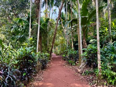 Spice Tours & Nature