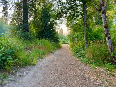 Orchard Loop