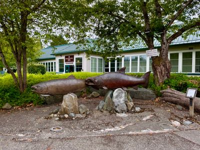Salmon Hatchery & Salmon Days