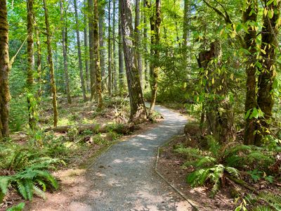 Hiking the Issaquah Alps