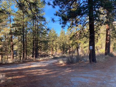 Site B