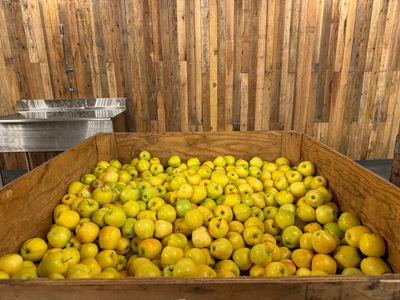 Cider Press in Manson