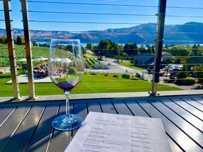 Amos Rome Vineyards