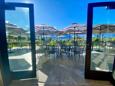 Succession Winery