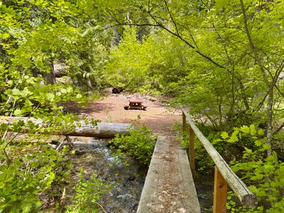 Campsite 5 — reached by crossing a small wooden bridge over Chatter Creek