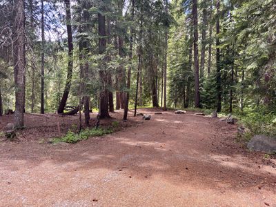 Campsite 7 in the shaded forest
