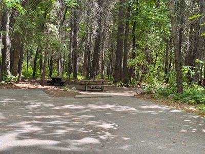 Double site 15 — two camping parties share one large site