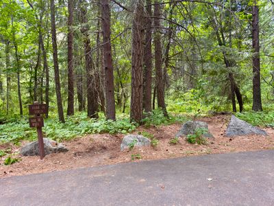 Trail from camp down to Icicle Creek