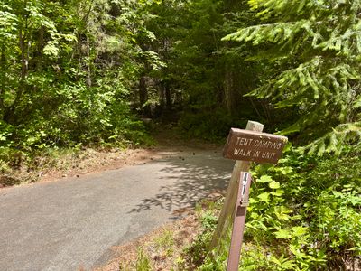 Campsite 41 — upper section with extended parking