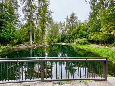 Blackbird Island Pond seen from the railing at Enchantment Park