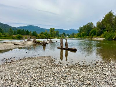 Pebble swim beach with old pilings on Blackbird Island