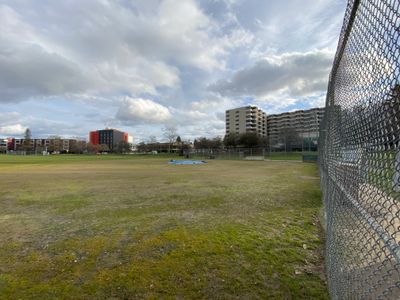 Green Lake Park Baseball Fields