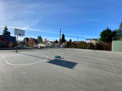 Webster Park Basketball Courts