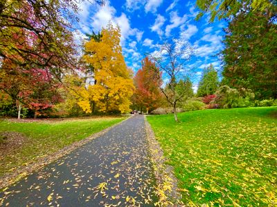 Washington Park Arboretum Loop Trail