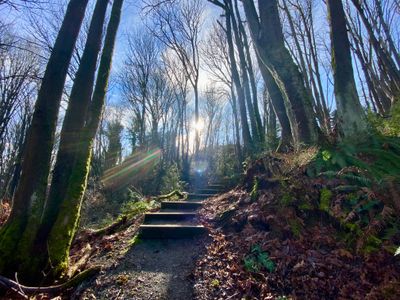 Cheasty Greenspace — Mt View