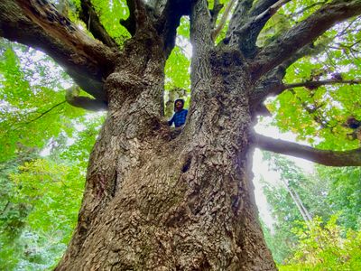 Best Hikes in Seattle
