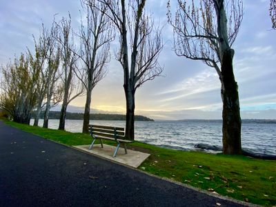 Seward Park Shore Loop Road