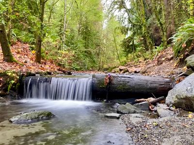 Shoreview and Boeing Creek Parks