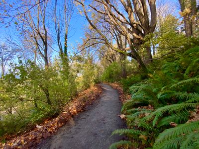 Hiking