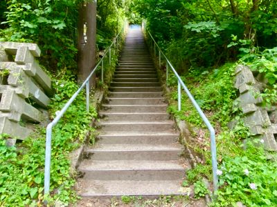 Stair Climbing