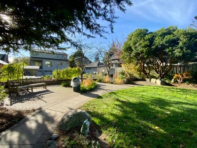Thyme Patch Park