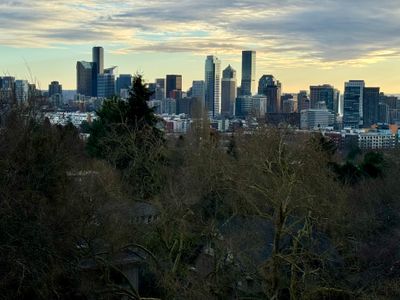 Volunteer Park