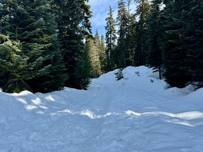 Snowshoeing