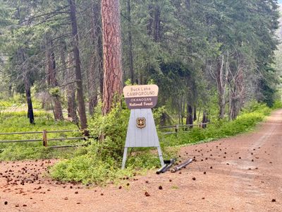 Buck Lake Campground entrance road