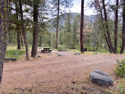 South loop campsite in open pine forest