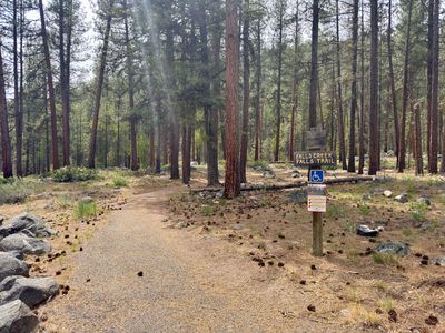 Falls Creek Falls Trail across the road from camp