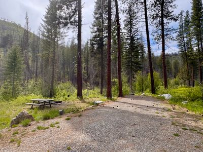 Open forest campsite at Flat Campground