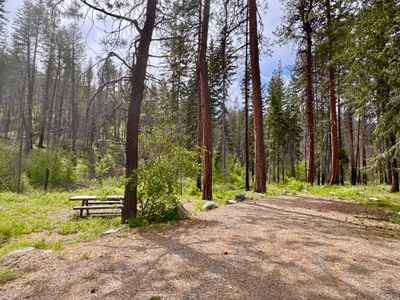 Campsite with room for a trailer