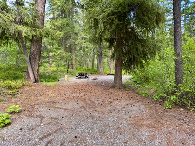 Campsite 10 — densely forested with full shade