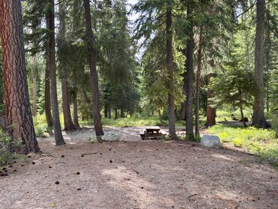 Campsite 26 — open site with dappled light
