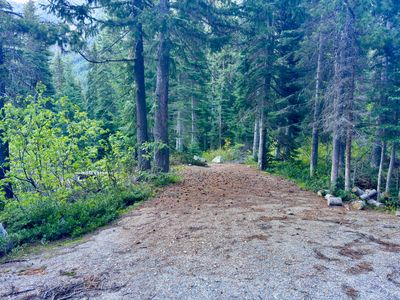 Shaded campsite at Lone Fir