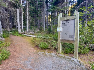 Lone Fir Loop Trail from the campground