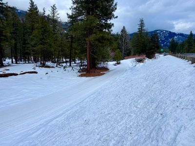 Nordic Skiing