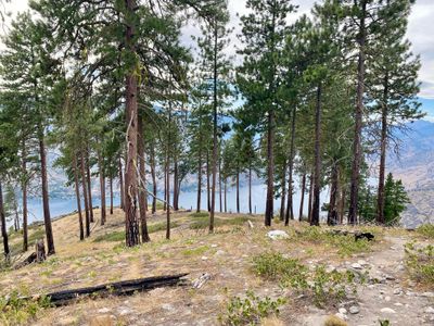 Summit of 4th of July Mountain
