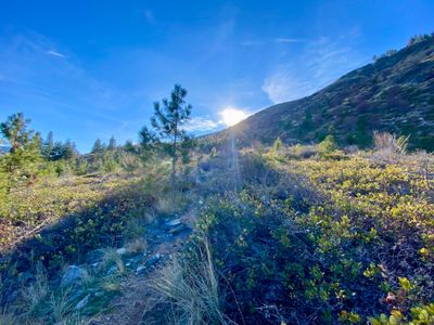 Hiking up to the ridge