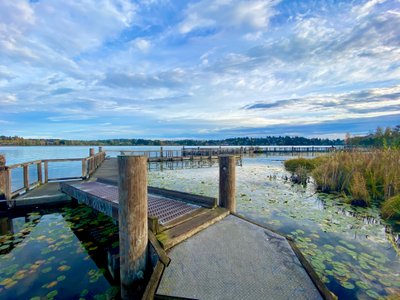 Walking platforms along Foster Island