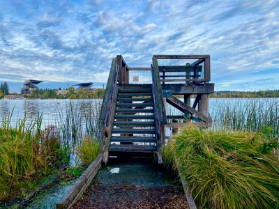 Viewing platform on Arboretum Waterfront Trail