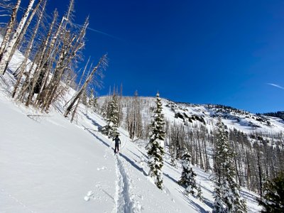 Tim breaking trail through Cement Basin